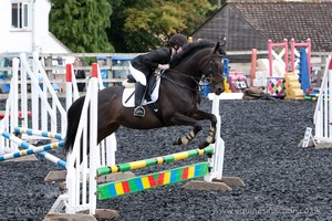 Class 3 -  Fences not above 2'3